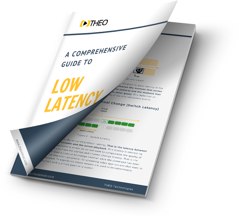 2021 Guide Download - Comprehensive Guide to Low Latency